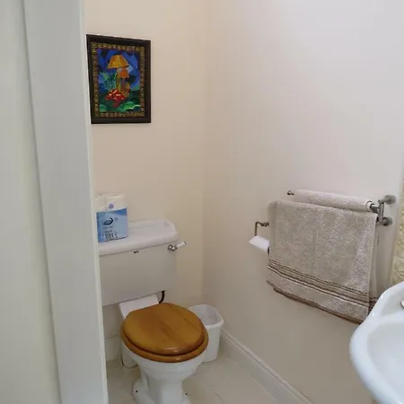 The Old House Carrick-on-Suir