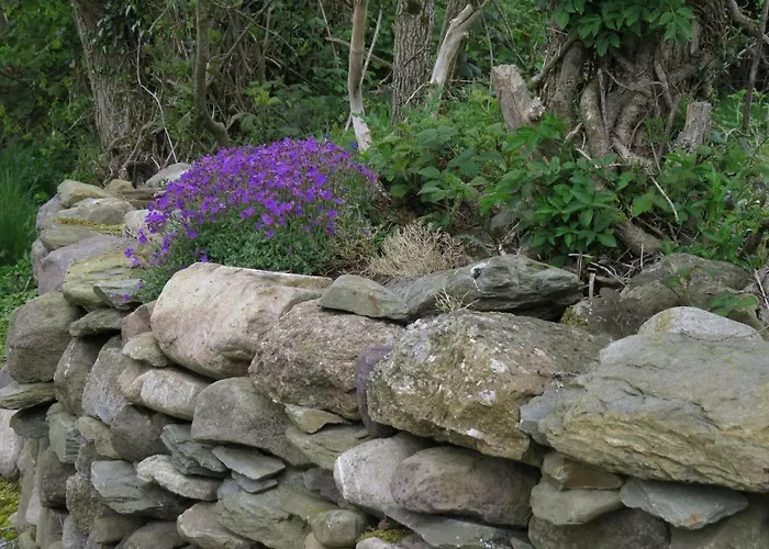 The Old House Carrick-on-Suir