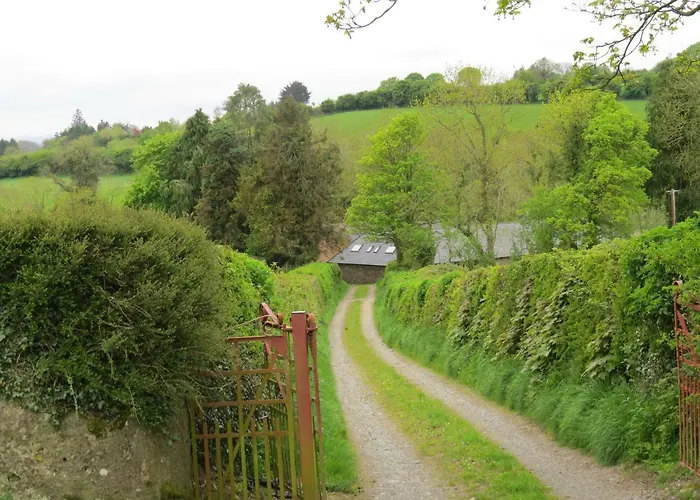 The Old House * Carrick-on-Suir
