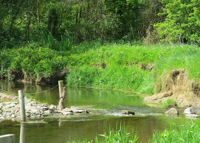 Feriehus The Old House *