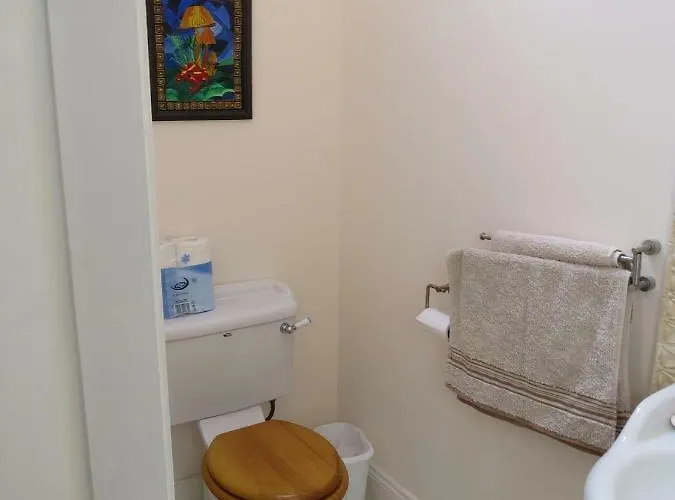 The Old House Carrick-on-Suir